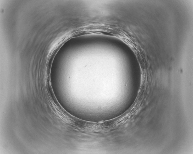 X0000088170293200705151155