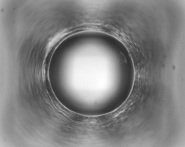 X0000088170294200705151155