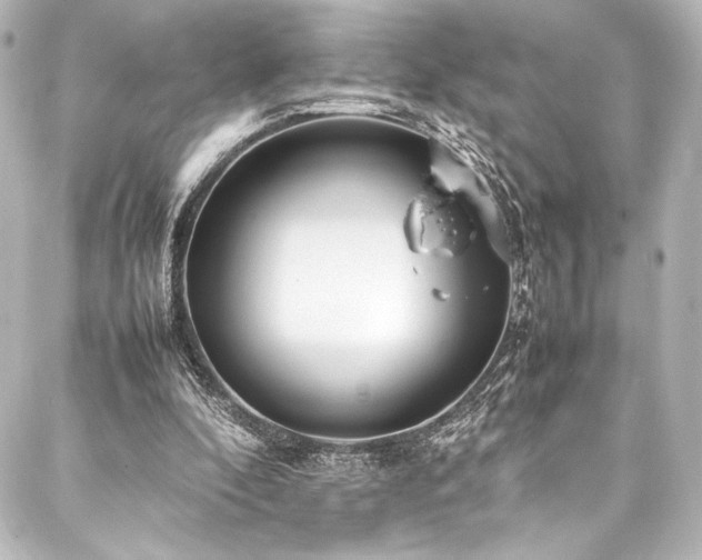 X0000088170296200705151155