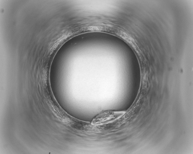 X0000088170297200705151155