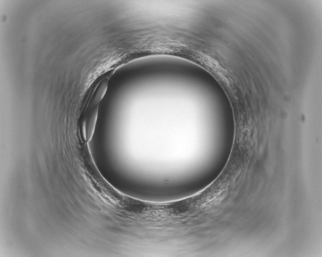 X0000088170299200705151155