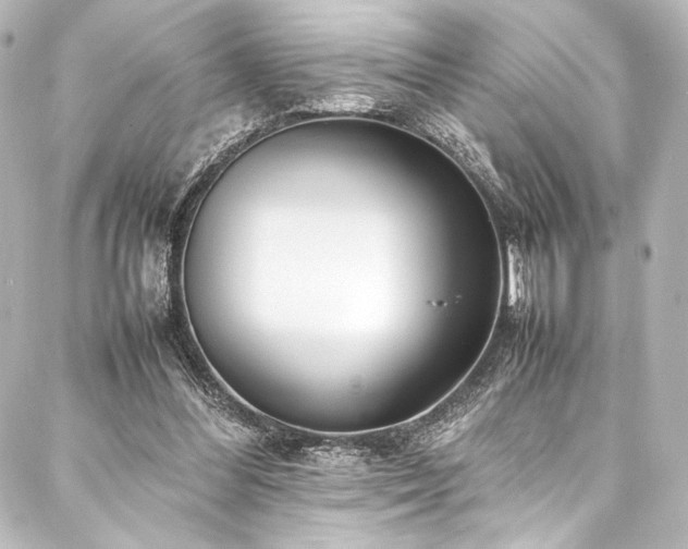 X0000088170300200705151155