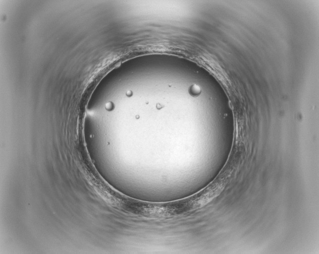 X0000088170301200705151155