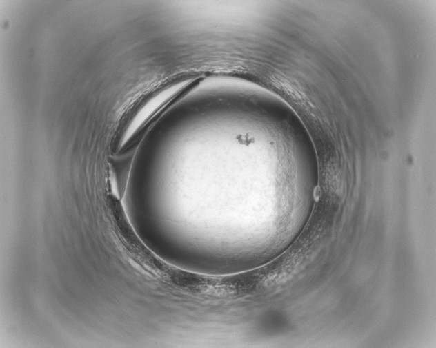 X0000088170303200705151155