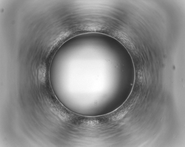 X0000088170304200705151155