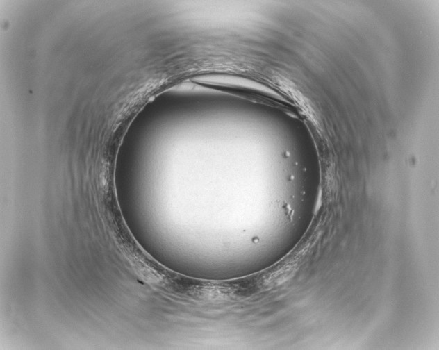 X0000088170305200705151155