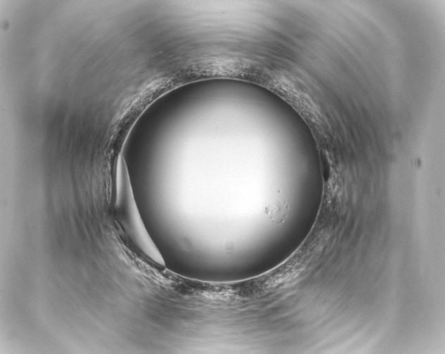 X0000088170306200705151155