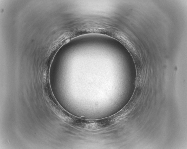 X0000088170309200705151155