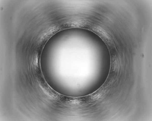 X0000088170310200705151155