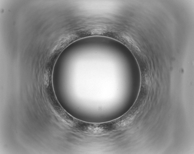 X0000088170311200705151155