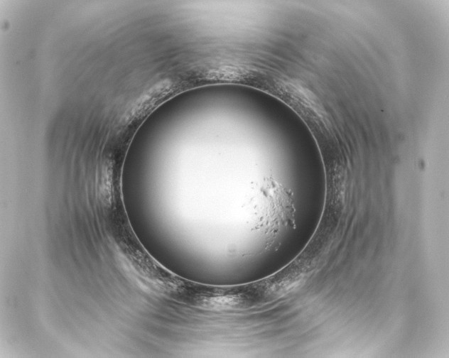 X0000088170312200705151155