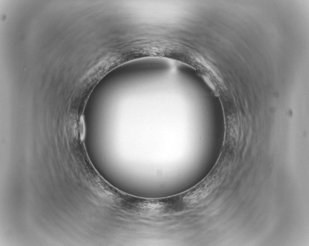 X0000088170313200705151155