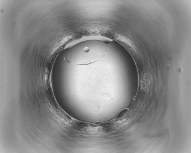 X0000088170314200705151155