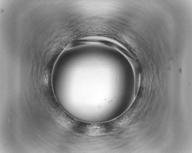 X0000088170315200705151155