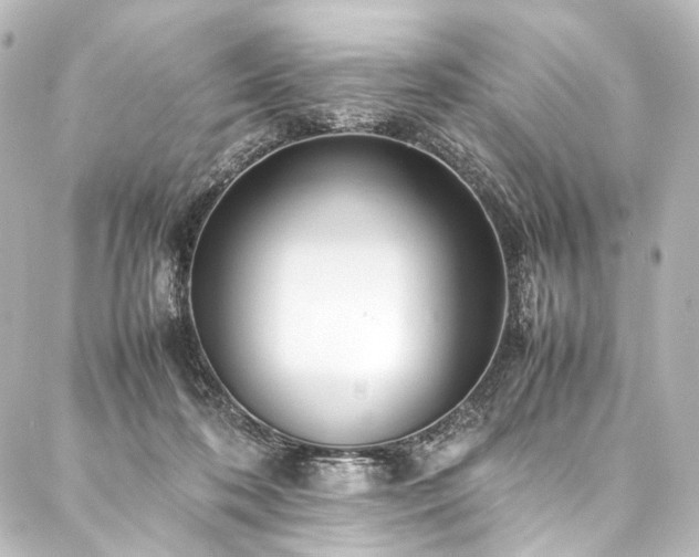 X0000088170316200705151155