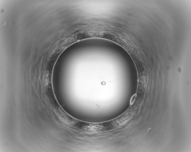 X0000088170323200705151155