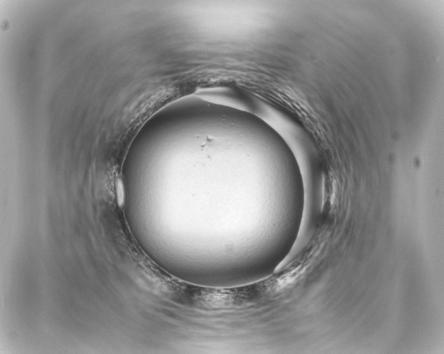 X0000088170325200705151155