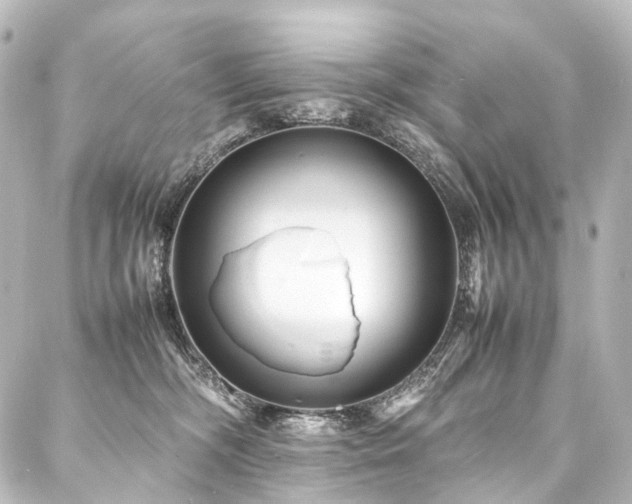 X0000088170326200705151155