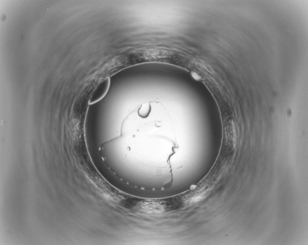 X0000088170327200705151155