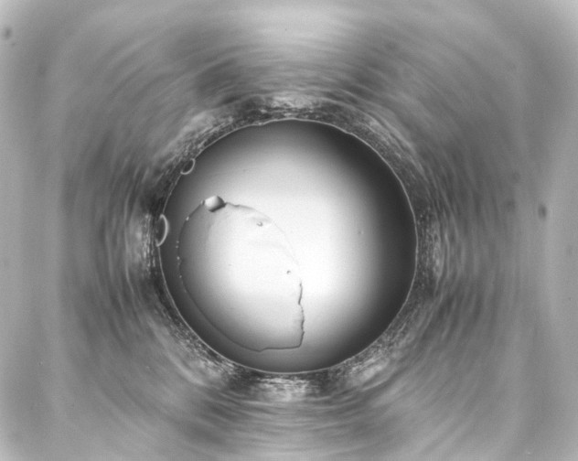 X0000088170328200705151155