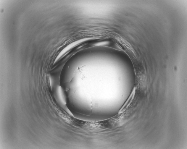 X0000088170329200705151155