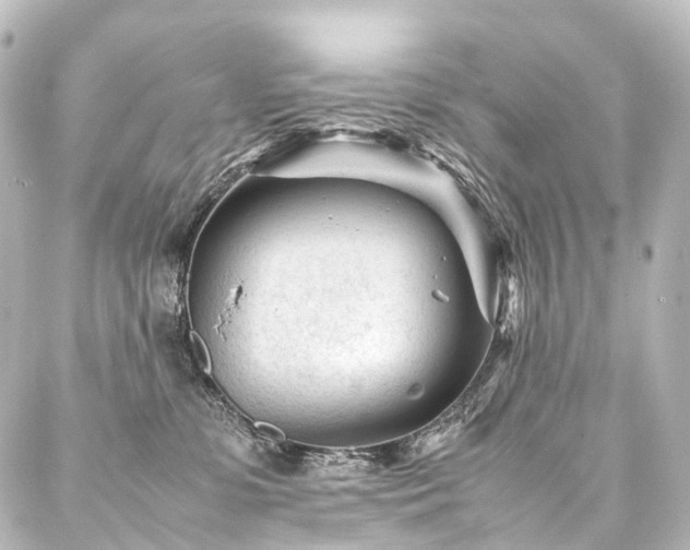 X0000088170331200705151155