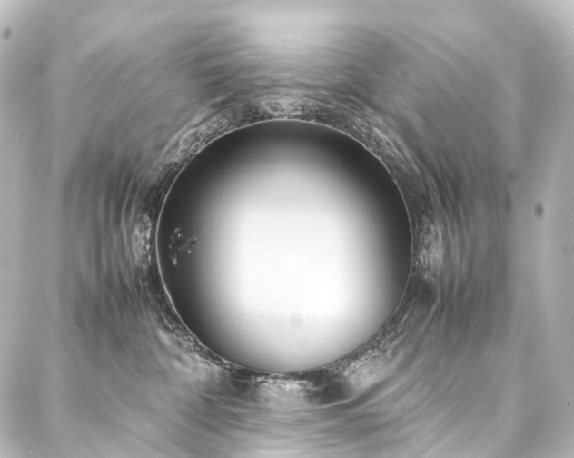 X0000088170332200705151155