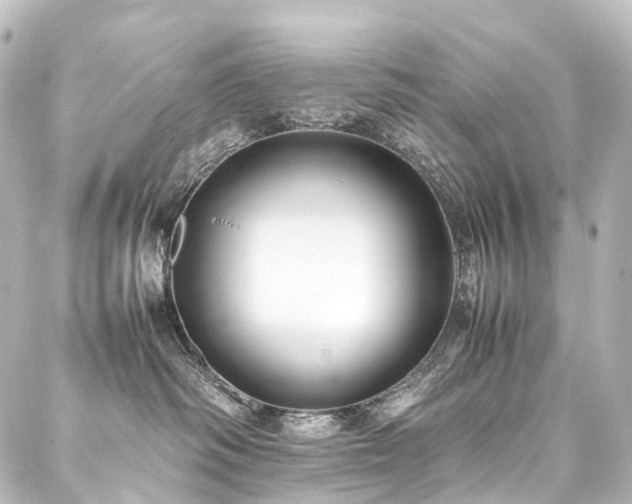 X0000088170334200705151155