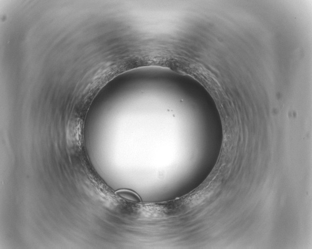 X0000088170336200705151155