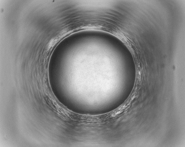 X0000088170337200705151154