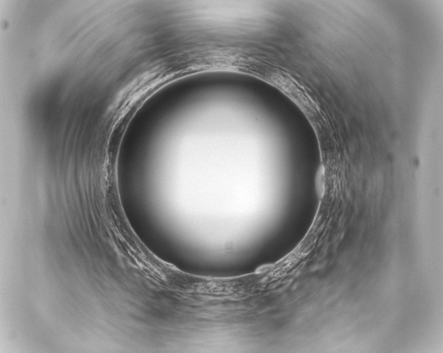 X0000088170338200705151154