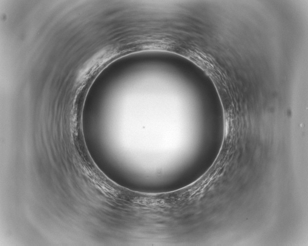 X0000088170339200705151154