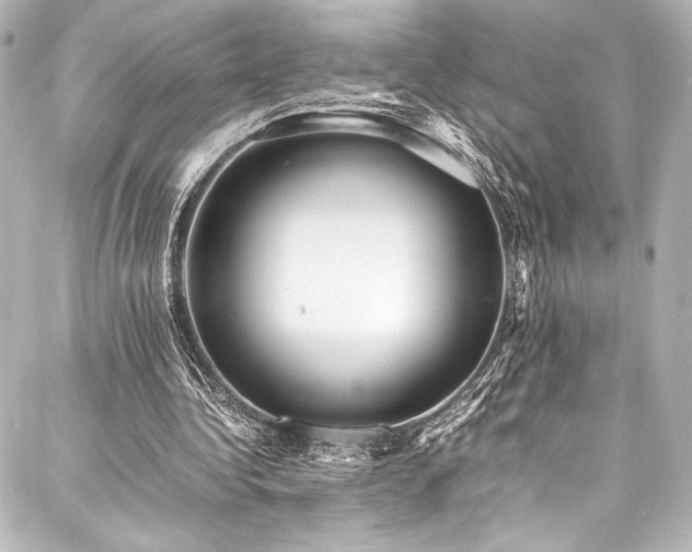 X0000088170340200705151154