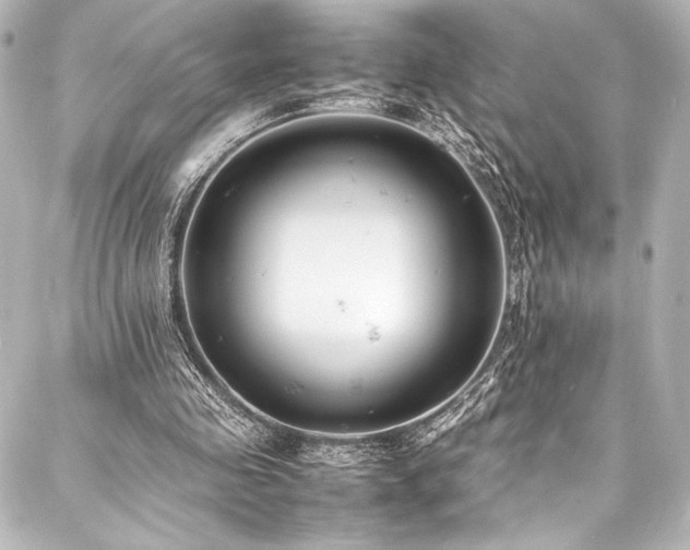 X0000088170341200705151154