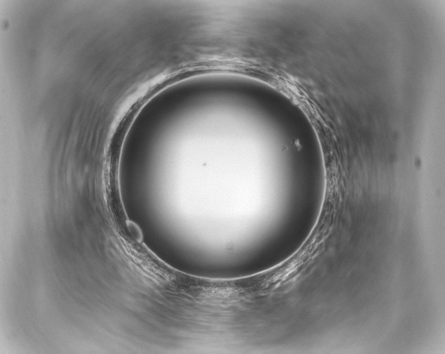 X0000088170342200705151154