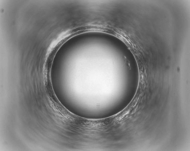 X0000088170343200705151154