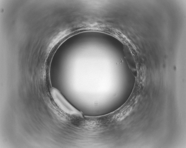 X0000088170344200705151154