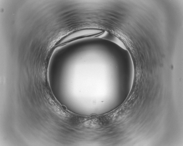 X0000088170345200705151154