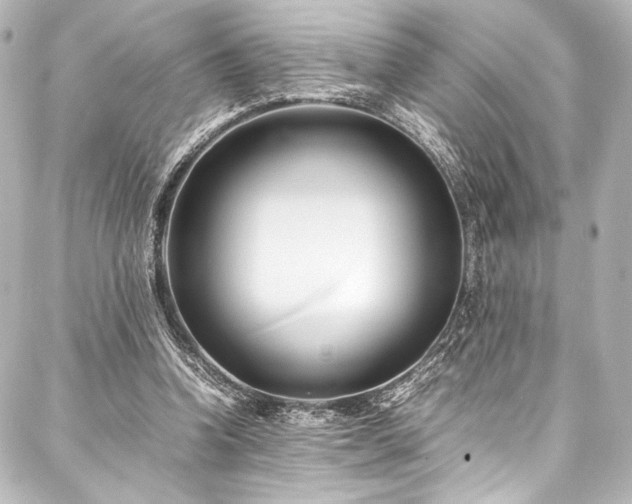 X0000088170346200705151154