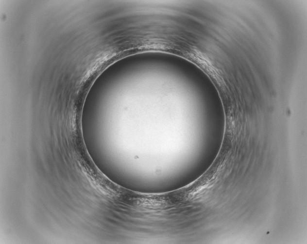 X0000088170347200705151154