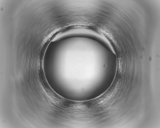 X0000088170348200705151154