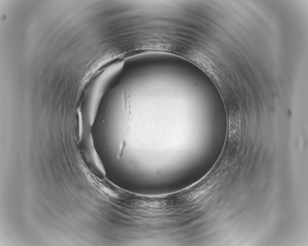 X0000088170349200705151154