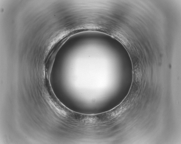 X0000088170350200705151154