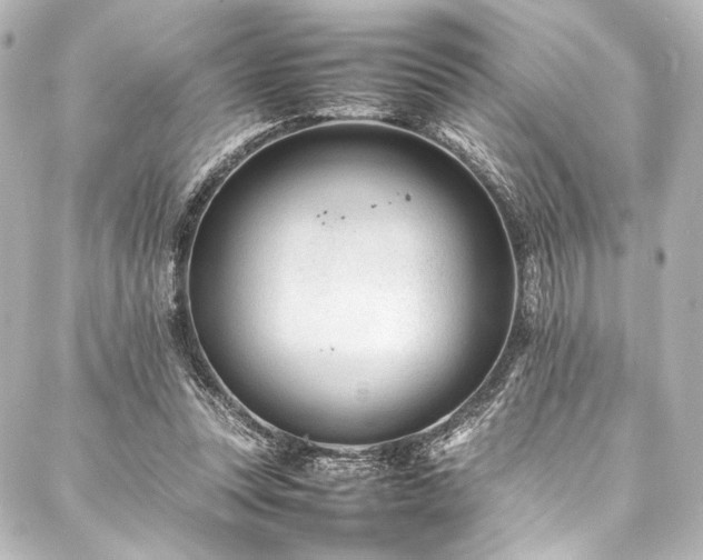 X0000088170351200705151154