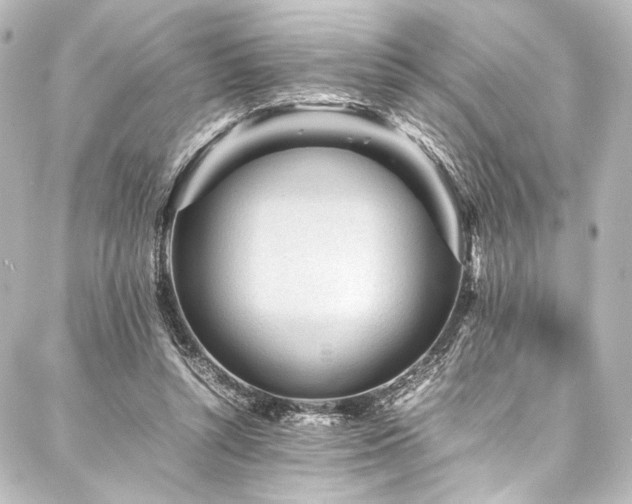 X0000088170352200705151154