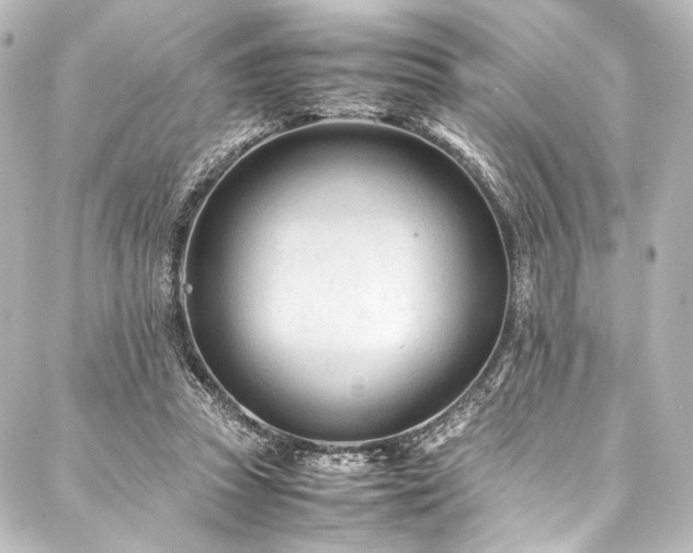 X0000088170353200705151154