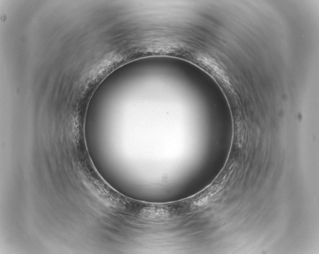 X0000088170354200705151154