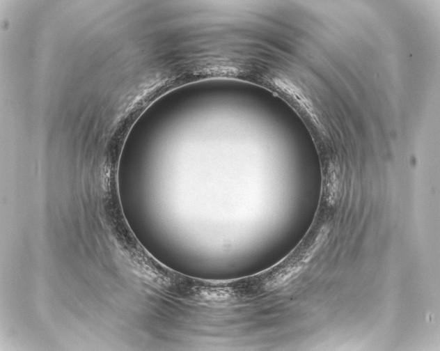 X0000088170355200705151154