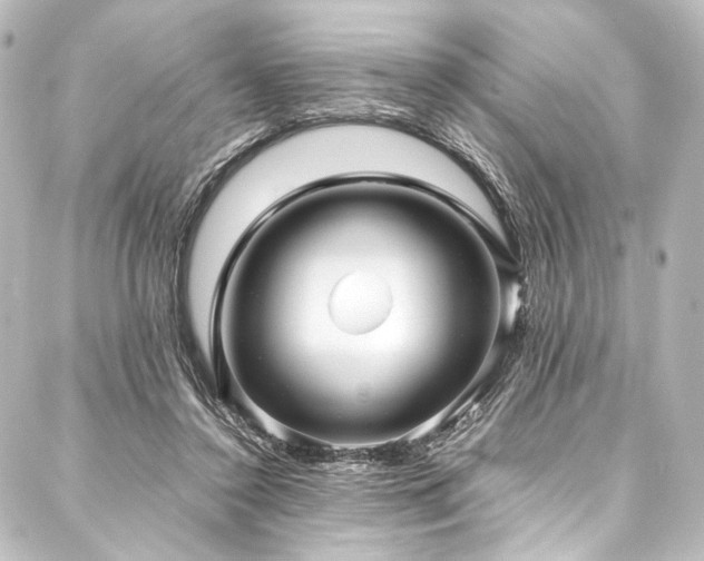 X0000088170356200705151154