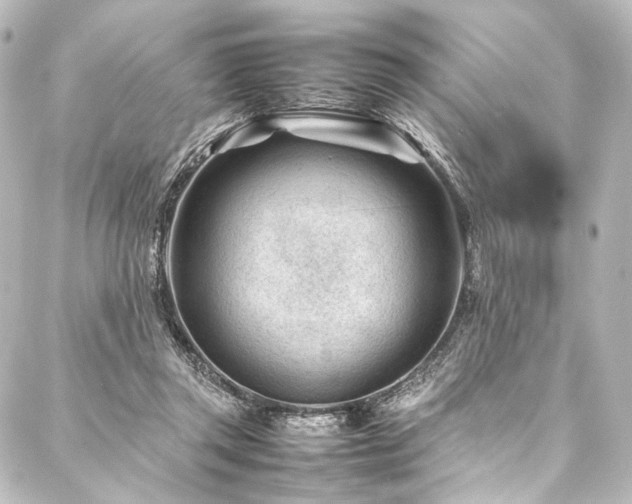 X0000088170357200705151154